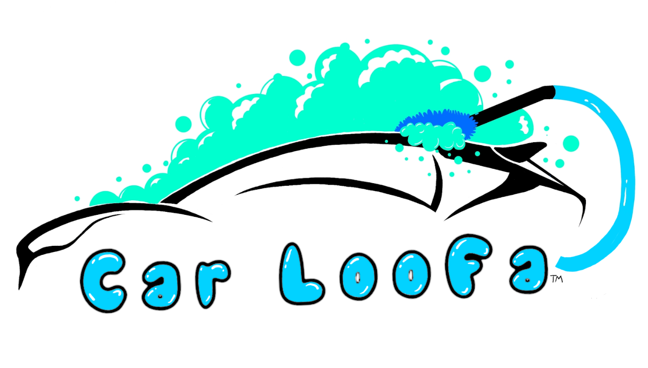 Car Loofa